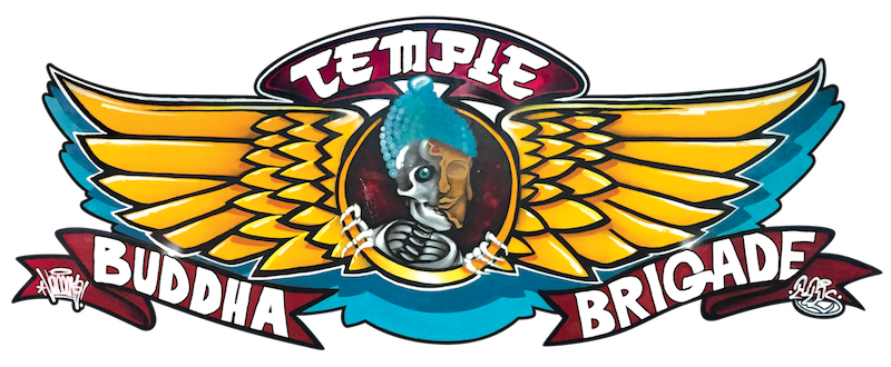 Temple Martial Arts & Fitness photo (Gym's own website (og:image))